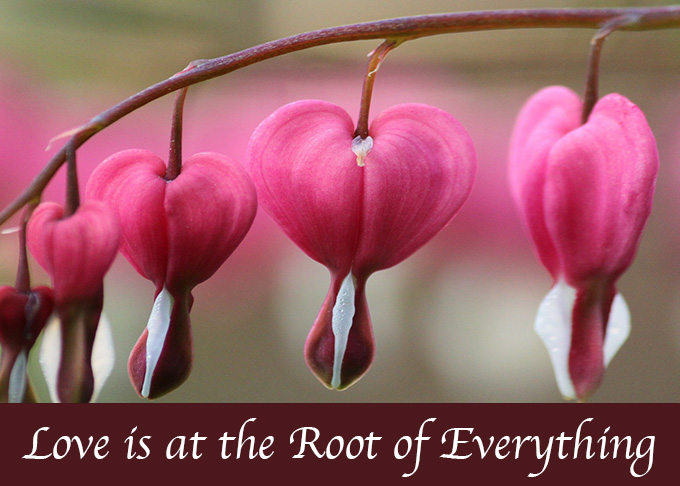 Love is at the Root of Everything